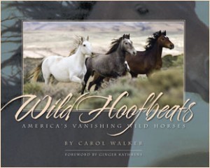 Wild-Hoofbeats-Book-Cover Wild-Hoofbeats-Book-Cover