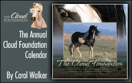 The Cloud Foundation Calendar