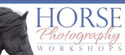 Horse Photography Workshops