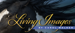 Living Images