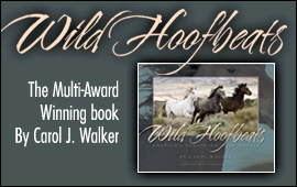 Wild Hoofbeats Book