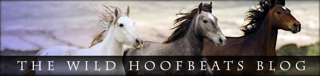 Wild Hoofbeats Blog