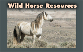 Wild Hoofbeats Resources