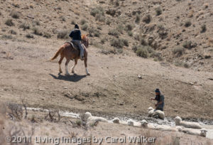 12AprilSandWash_336_of_541_