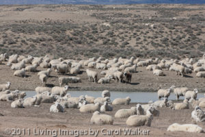 12AprilSandWash_438_of_541_