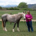 Wild Horses: Wild Horse Festival in Santa Fe, NM May 19, 20