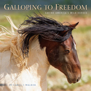 Galloping to Freedom Book Cover