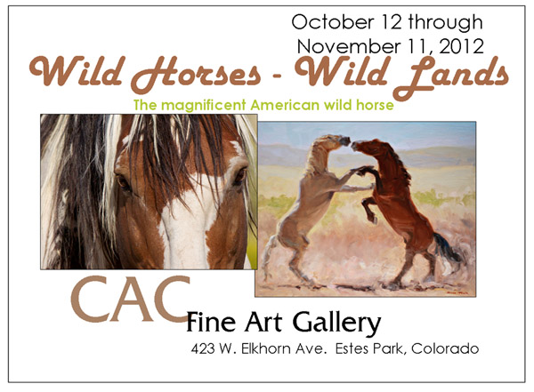 Wild Horses Postcard