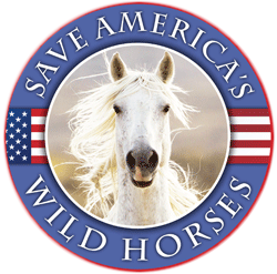 Save-Americas-Wild-Horses-Large