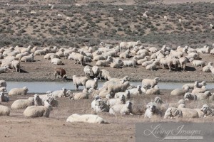 The destruction of the range