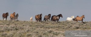 Heading to the waterhole