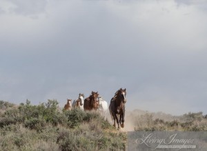 A family heads to the waterhole