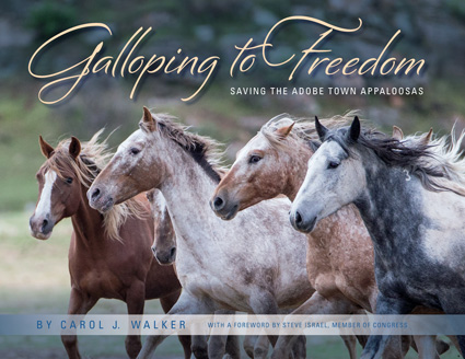 Galloping to Freedom: Saving the Adobe Town Appaloosas