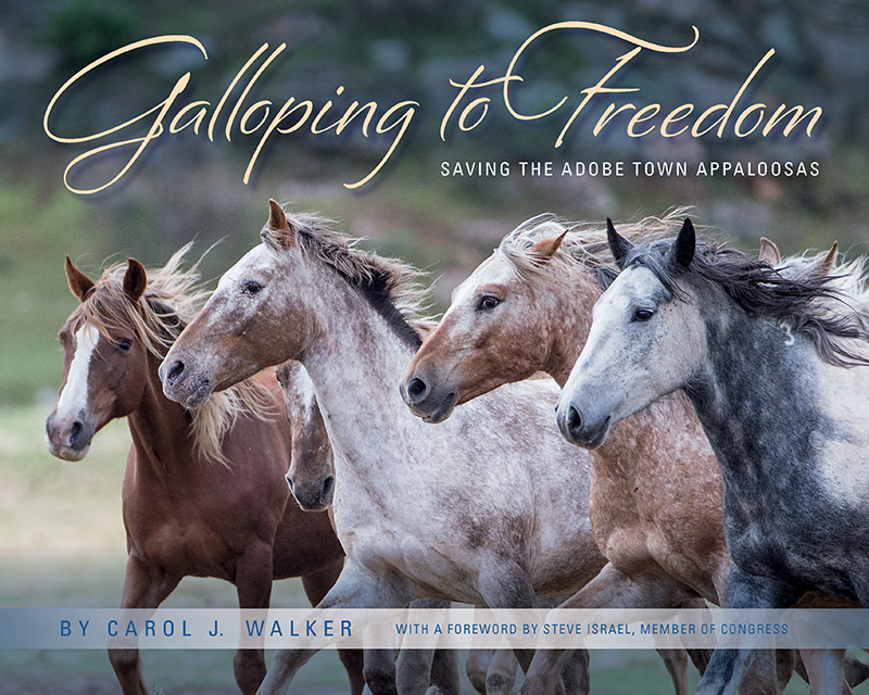 GallopingToFreedomCoverWeb