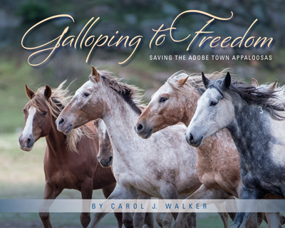 Galloping to Freedom Book Cover
