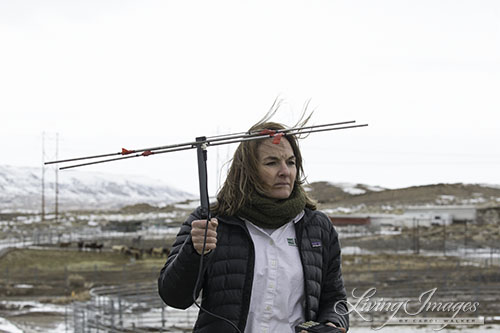 Tracking device to track collars on the ground