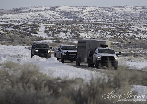 The line of vehicles