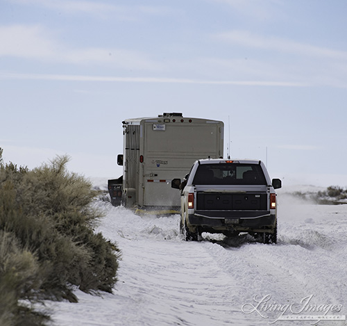 Truck pulling them out