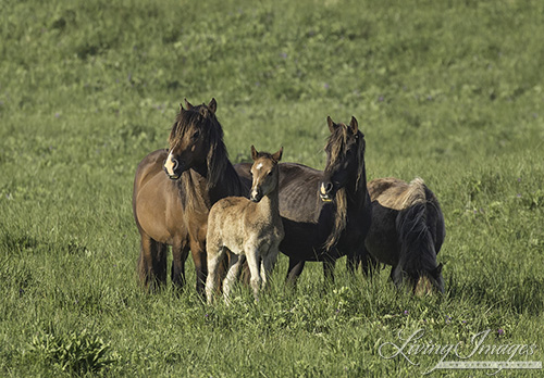 A family close together