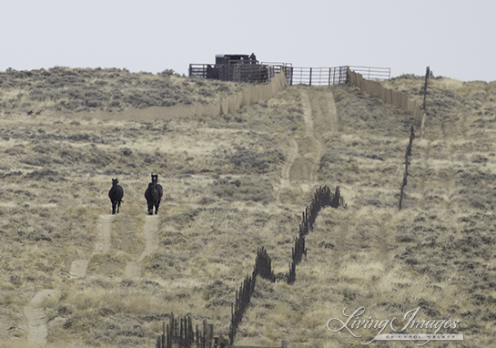 No flags on the barbed wire fence