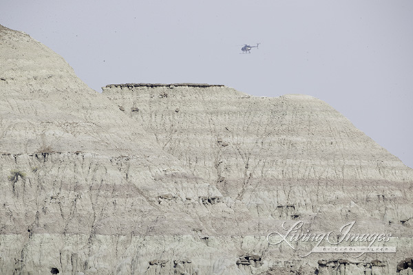 Rock Formations in Adobe Town