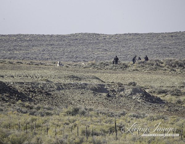 University of Wyoming observers