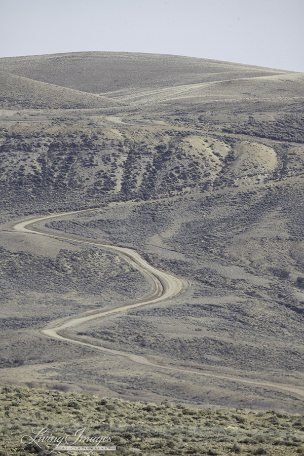 The winding road up Kinney Rim