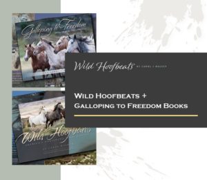 wild hoofbeats and galloping to freedom books