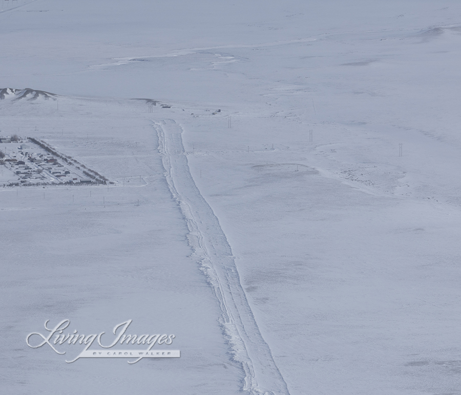 Freedom for Wild Horses with Carol J. Walker | Flying Over An Ocean of Snow