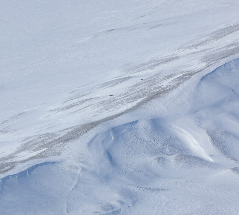 Freedom for Wild Horses with Carol J. Walker | Flying Over An Ocean of Snow