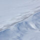 Freedom for Wild Horses with Carol J. Walker | Flying Over An Ocean of Snow