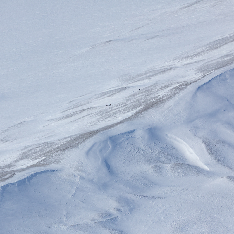 Freedom for Wild Horses with Carol J. Walker | Flying Over An Ocean of Snow