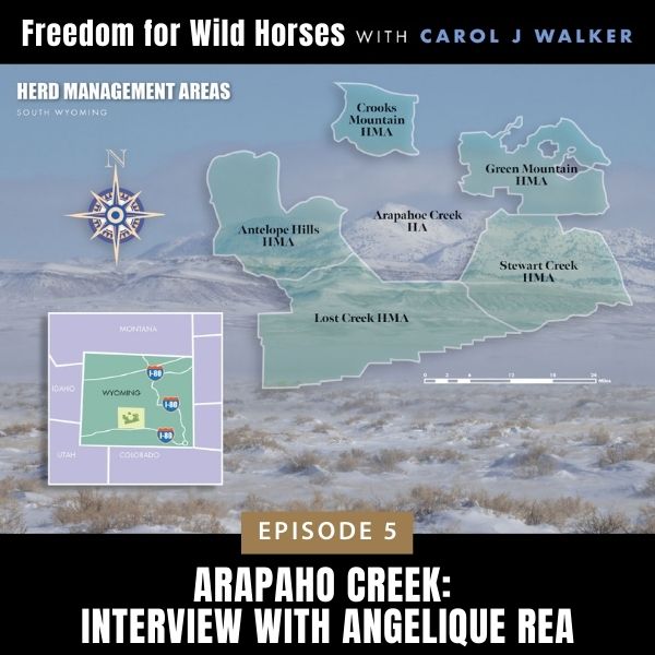 Freedom for Wild Horses with Carol J. Walker | Arapaho Creek: Interview with Angelique Rea