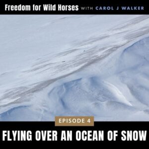 Freedom for Wild Horses with Carol J. Walker | Flying Over An Ocean of Snow