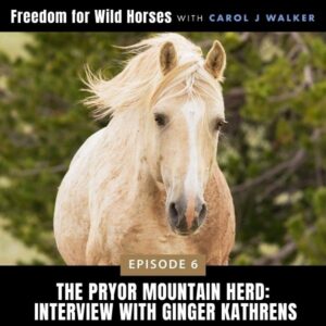 Freedom for Wild Horses with Carol J. Walker | The Pryor Mountain Herd: Interview with Ginger Kathrens