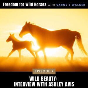 Freedom for Wild Horses with Carol J. Walker | Wild Beauty: Interview with Ashley Avis