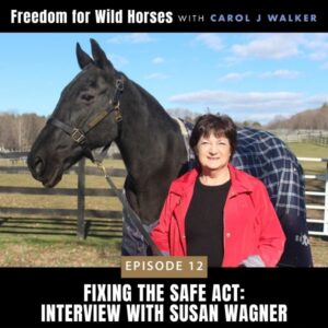 Freedom for Wild Horses with Carol J. Walker | Fixing the SAFE Act: Interview with Susan Wagner