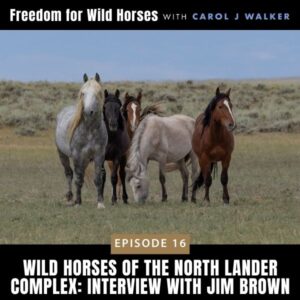 Freedom for Wild Horses with Carol J. Walker | Wild Horses of the North Lander Complex: Interview with Jim Brown