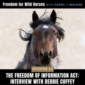 Freedom for Wild Horses with Carol J. Walker | The Freedom of Information Act: Interview with Debbie Coffey
