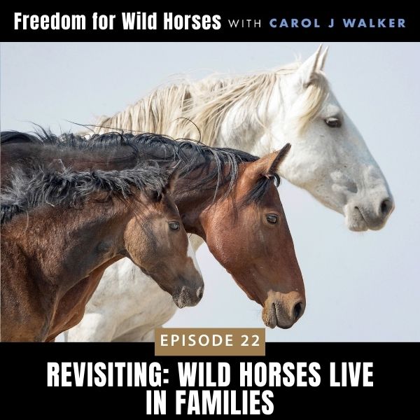 Freedom for Wild Horses with Carol J. Walker | Revisiting: Wild Horses Live in Families