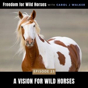 Freedom for Wild Horses with Carol J. Walker | A Vision for Wild Horses