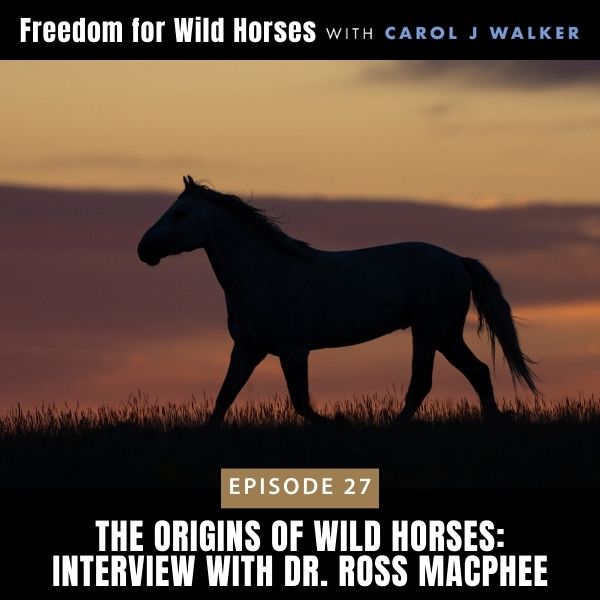 Freedom for Wild Horses with Carol J. Walker | The Origins of Wild Horses: Interview with Dr. Ross MacPhee