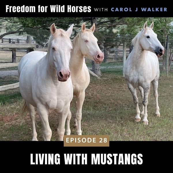 Freedom for Wild Horses with Carol J. Walker | Living with Mustangs