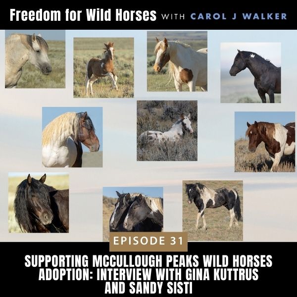 Freedom for Wild Horses with Carol J. Walker | Supporting McCullough Peaks Wild Horses Adoption: Interview with Gina Kuttrus and Sandy Sisti