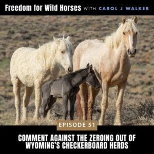 Freedom for Wild Horses with Carol J. Walker | Comment Against the Zeroing Out of Wyoming’s Checkerboard Herds
