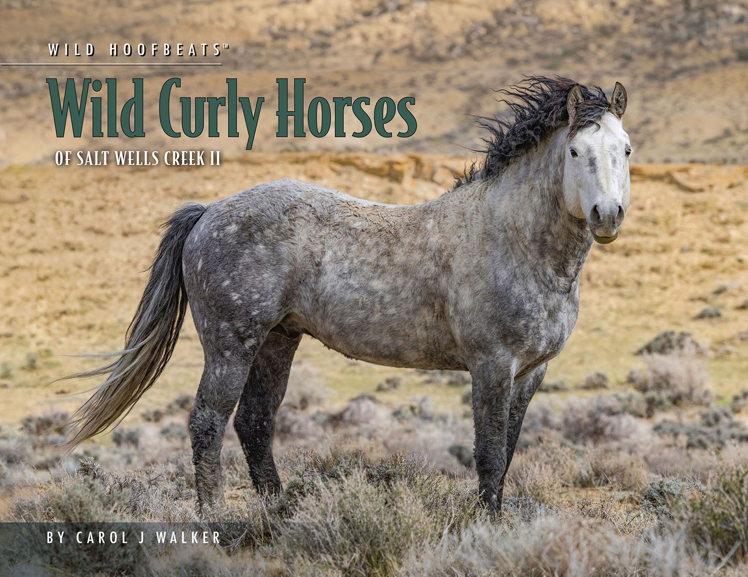 2027 Wild Hoofbeats Calendar