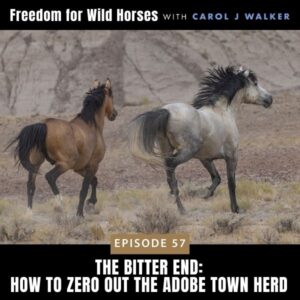 Freedom for Wild Horses with Carol J. Walker | The Bitter End: How to Zero Out the Adobe Town Herd