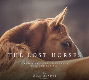 Freedom for Wild Horses with Carol J. Walker | The Lost Horses: It’s Time to Pass the SAFE Act