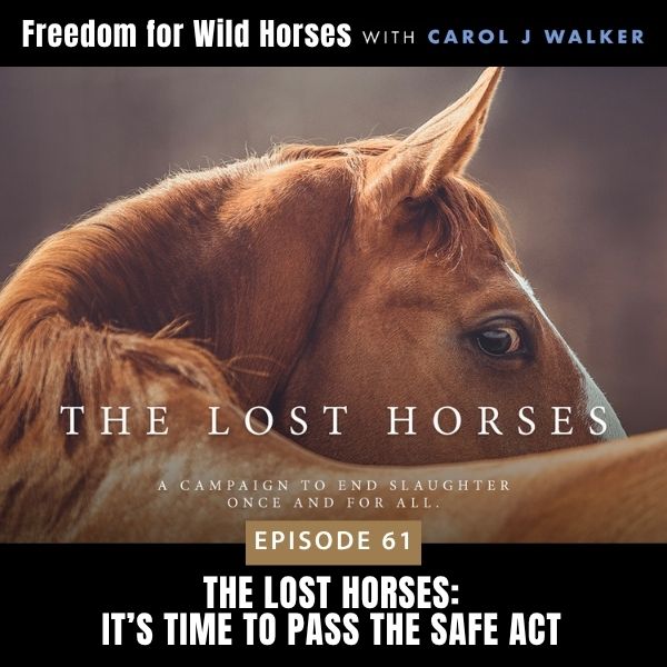 Freedom for Wild Horses with Carol J. Walker | The Lost Horses: It’s Time to Pass the SAFE Act