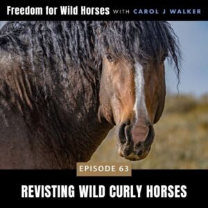 Freedom for Wild Horses with Carol J. Walker | Revisting Wild Curly Horses